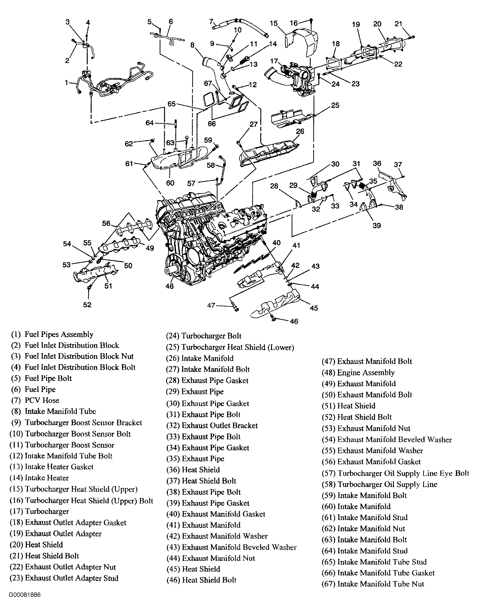 G00081886