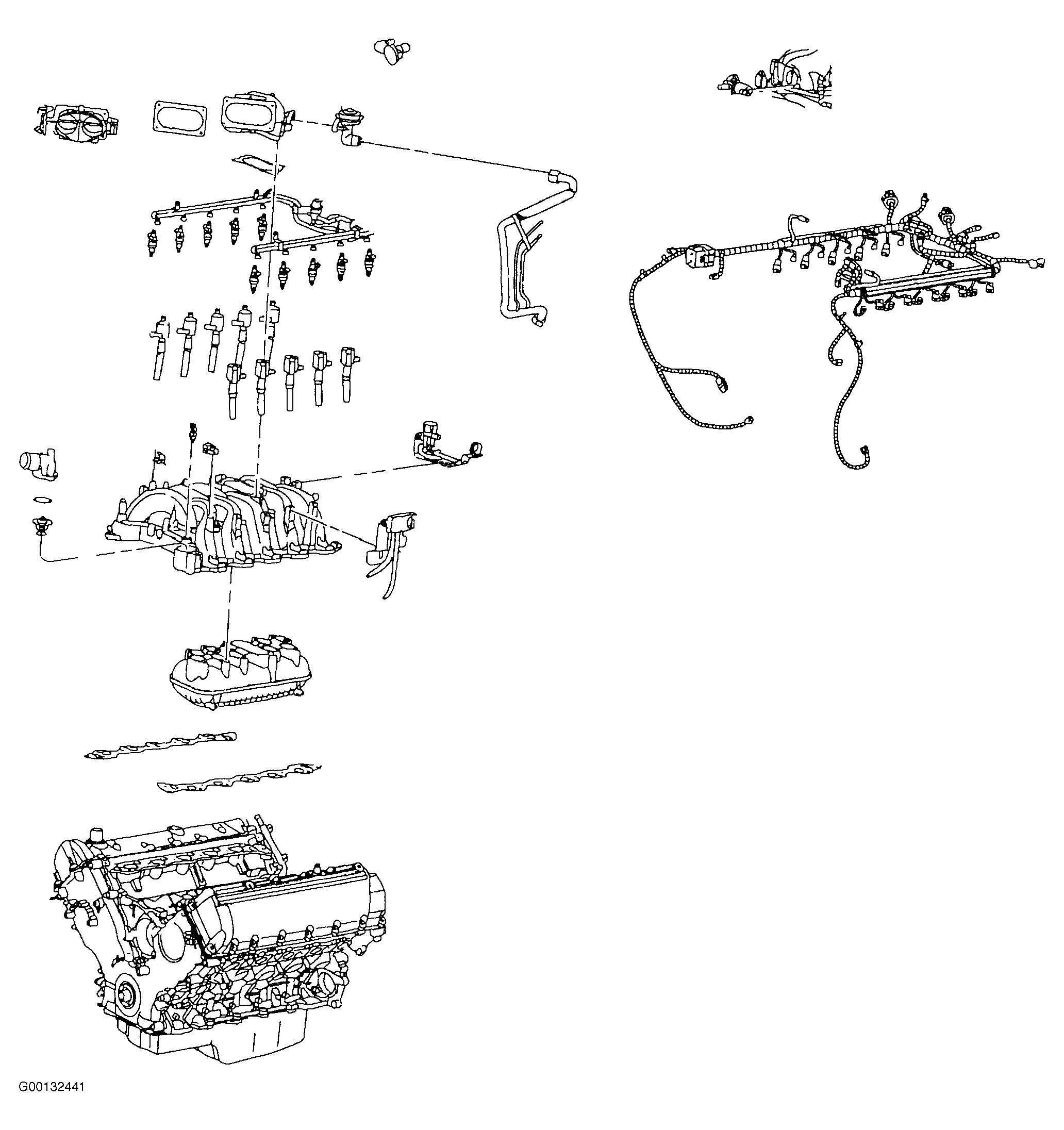 G00132441