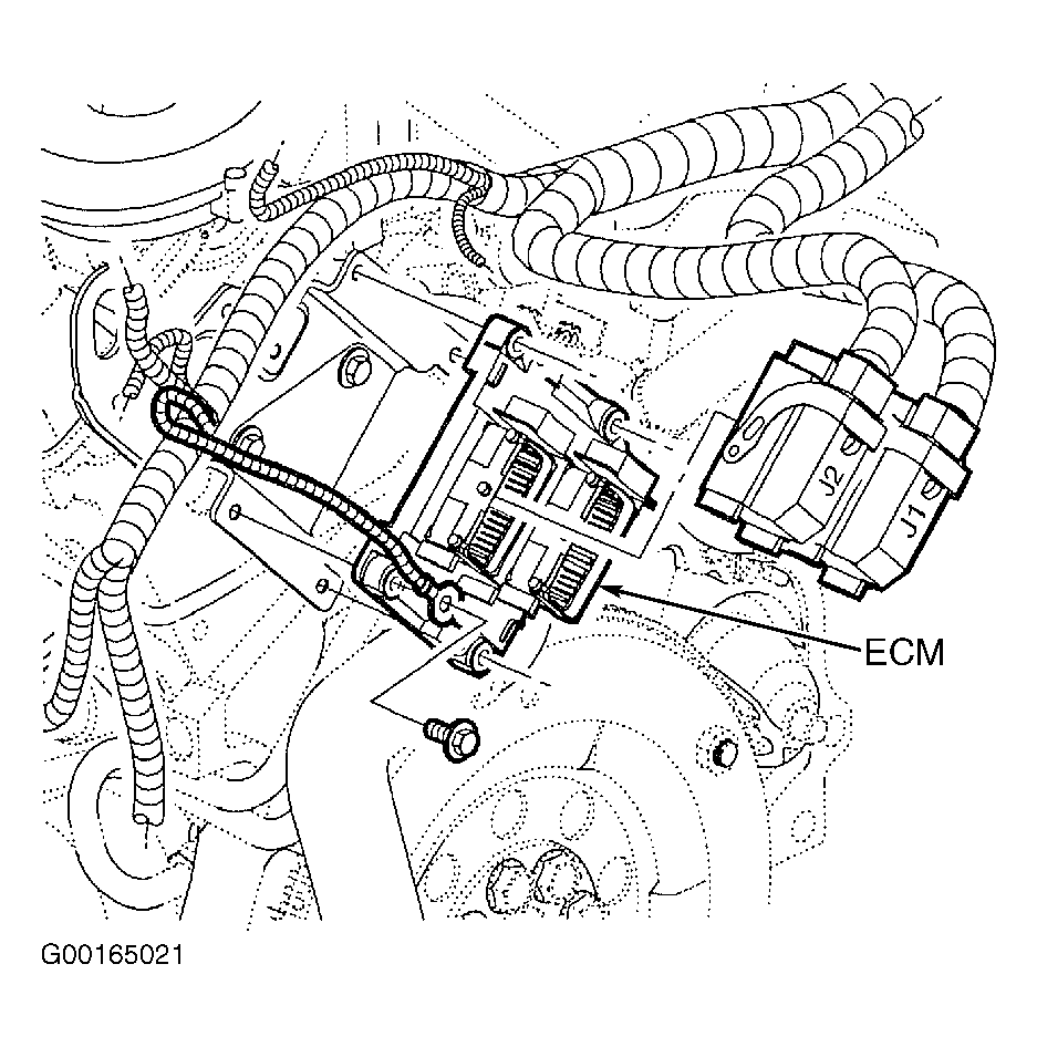 G00165021