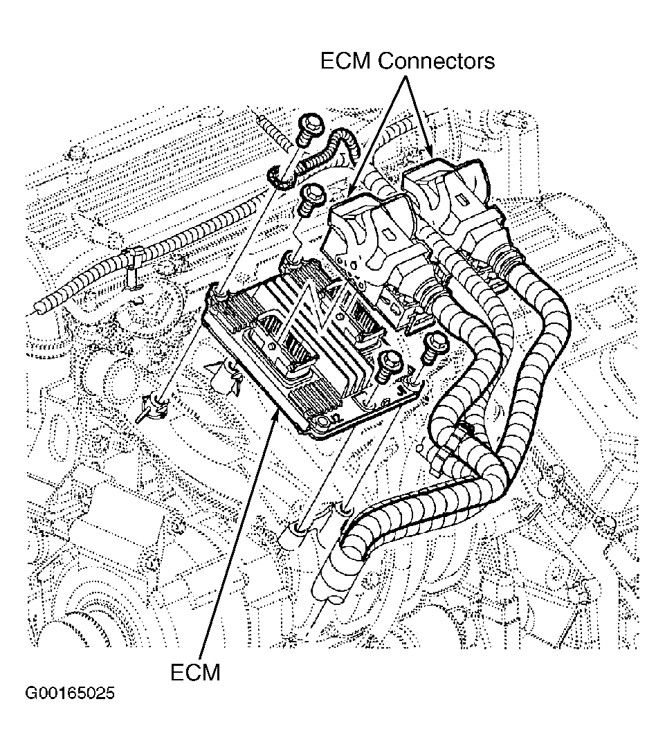 G00165025