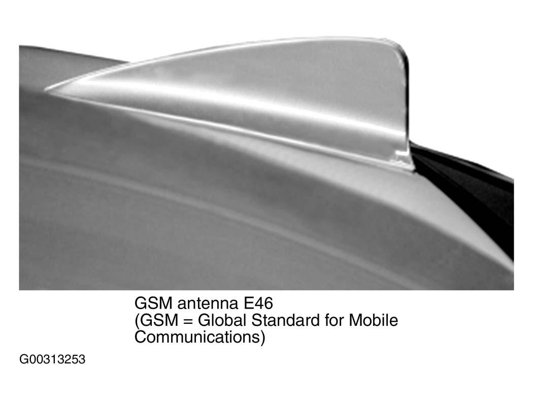 G00313253