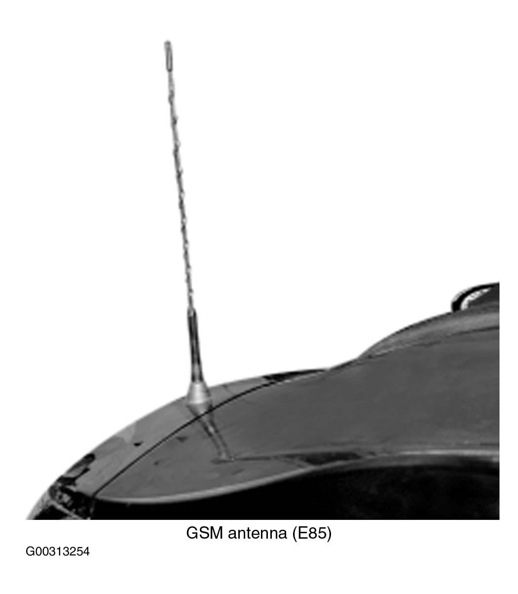 G00313254
