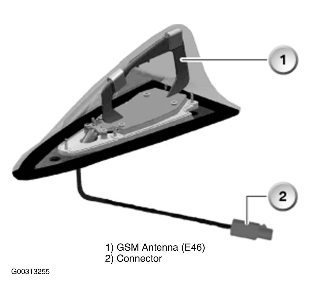 G00313255