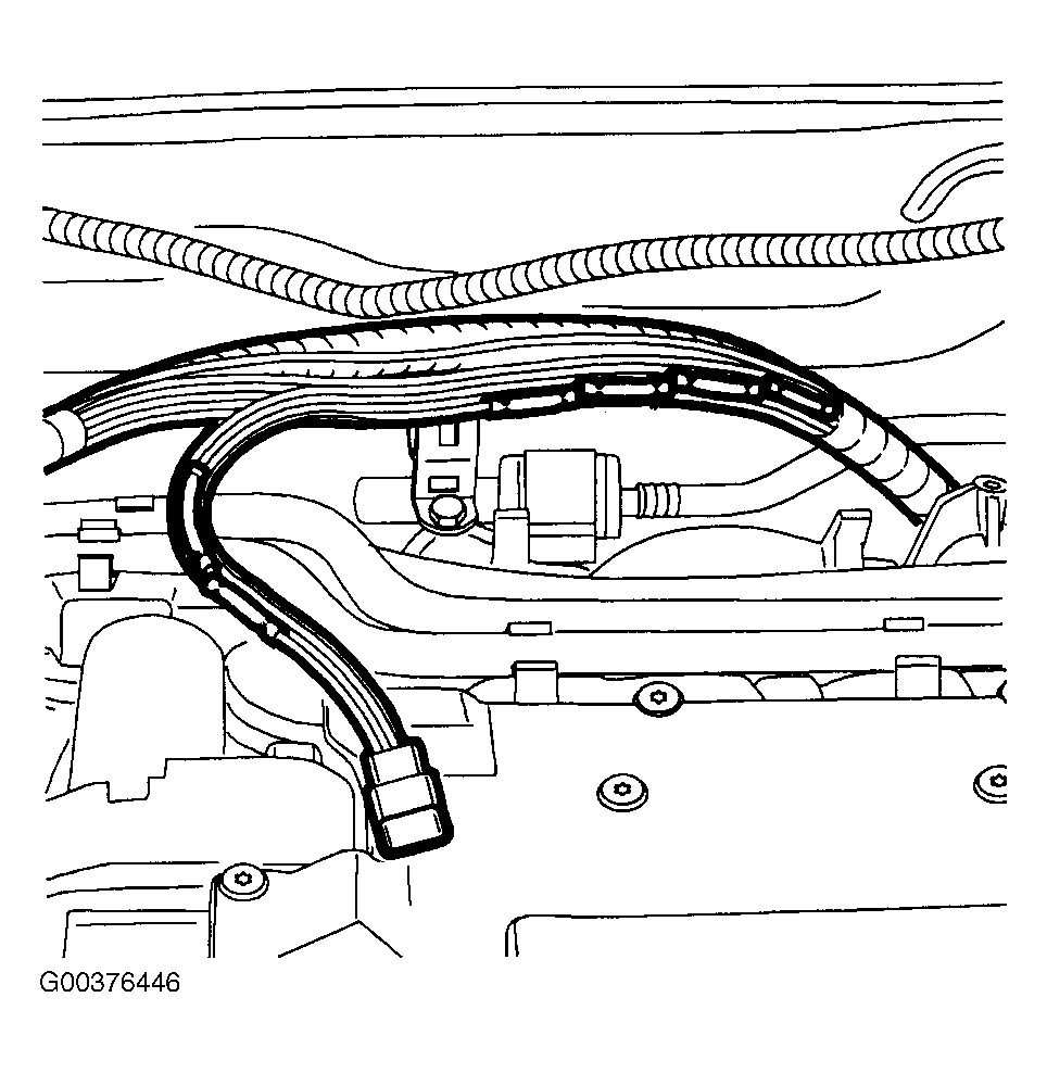G00376446