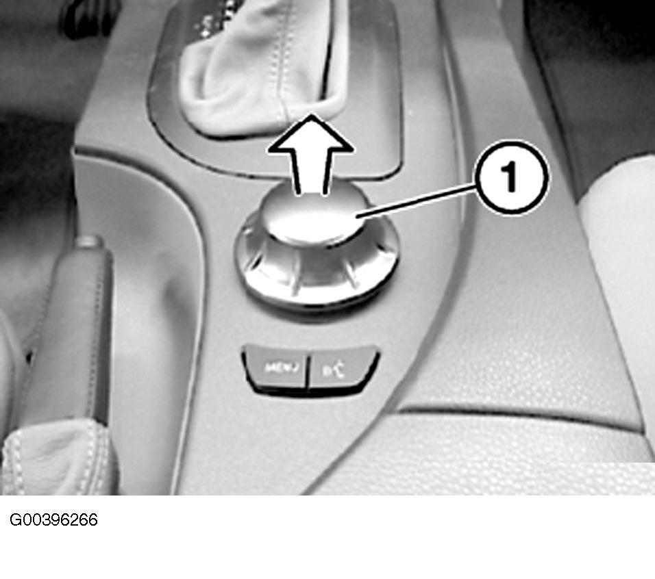 G00396266