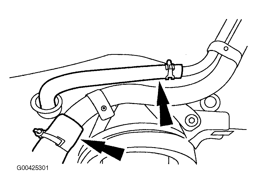 G00425301