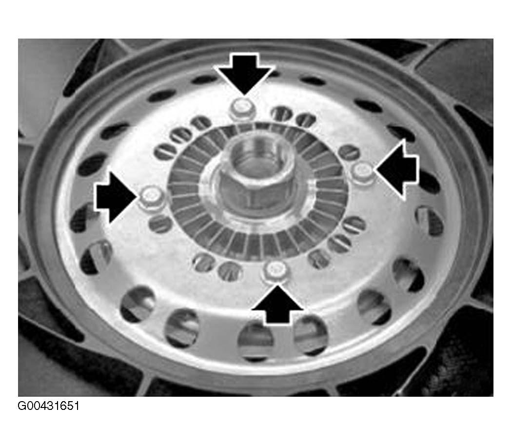 G00431651