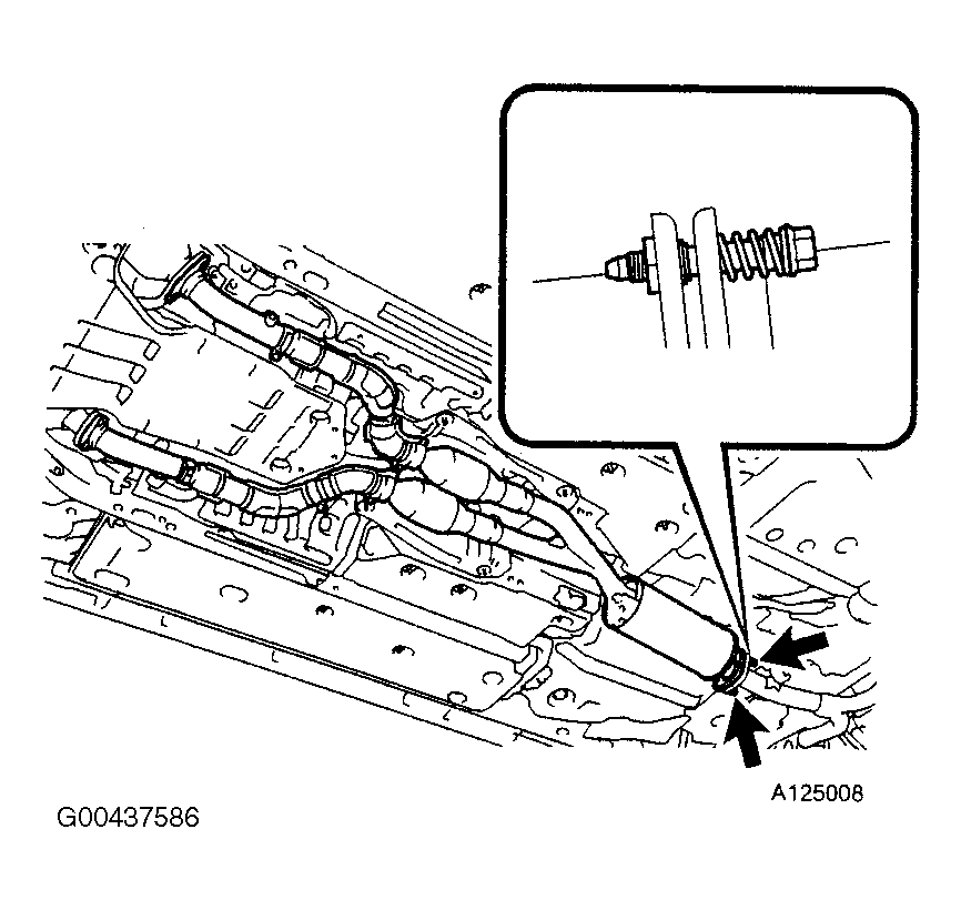 G00437586
