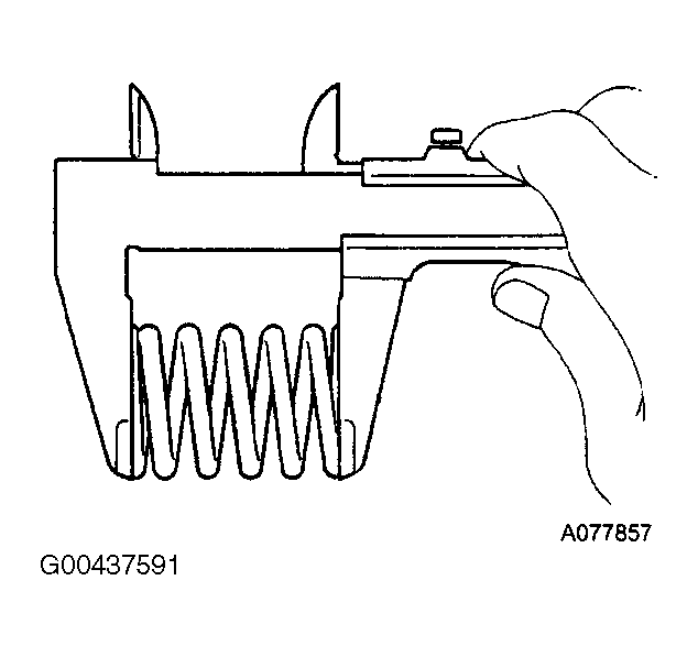 G00437591