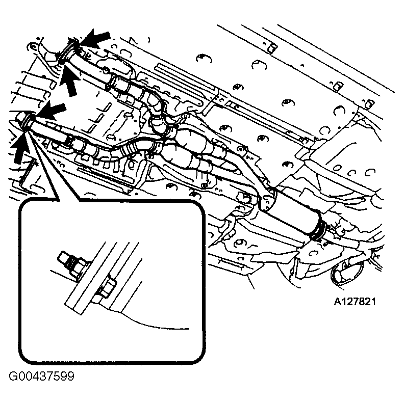 G00437599