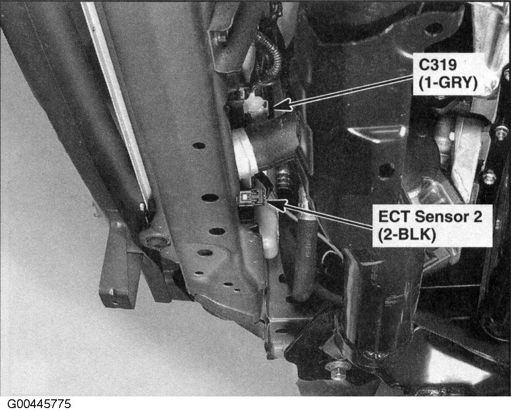 G00445775