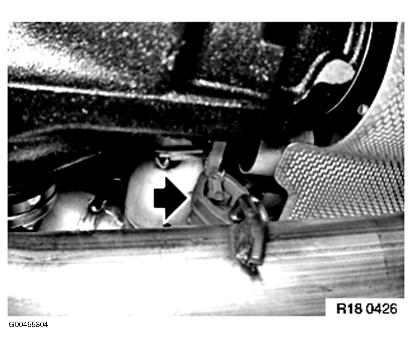 G00455304