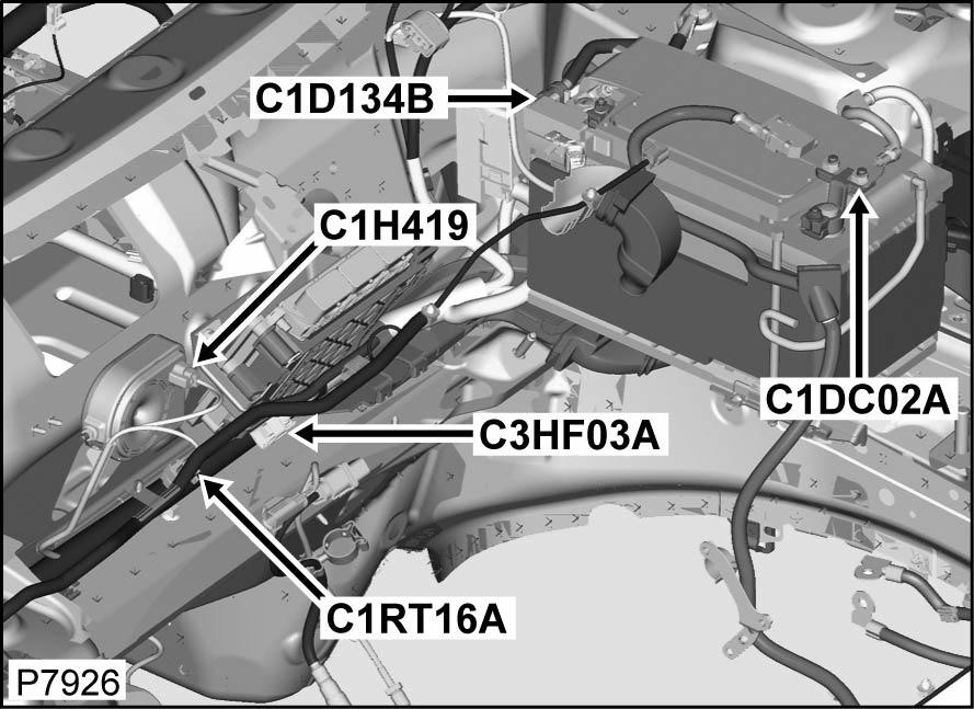 G00462981