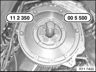 G00495564