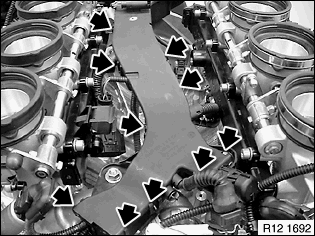 G00524419