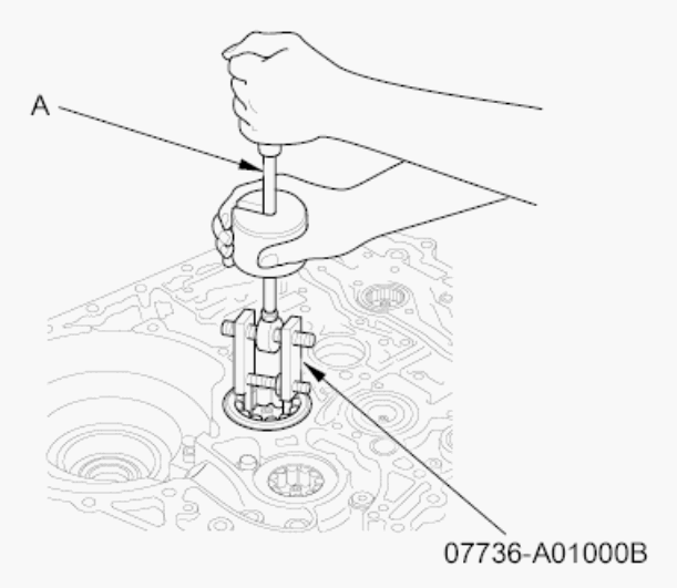 G00525981