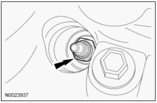 G00555419