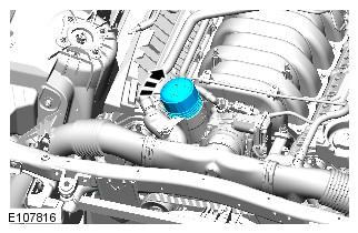 G00559125