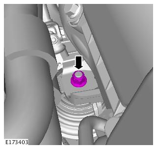 G00559399