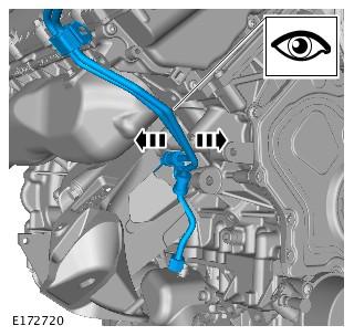 G00559406