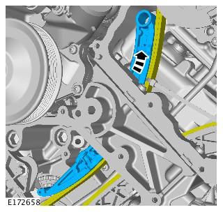 G00559431
