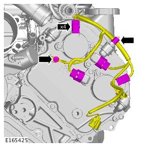 G00559602