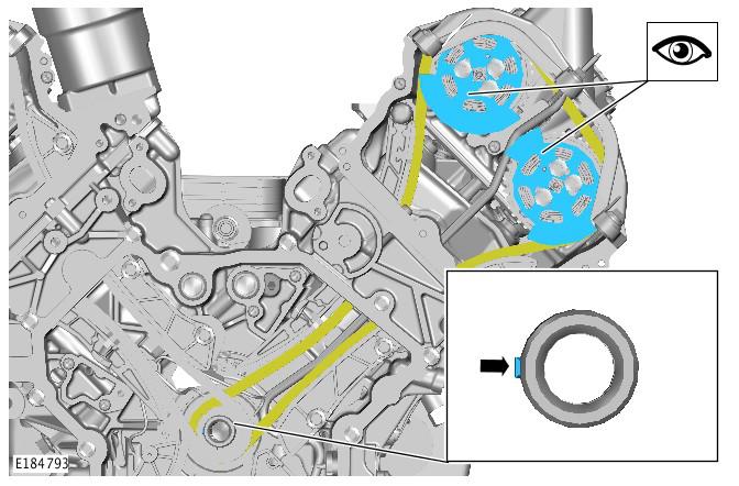 G00559611
