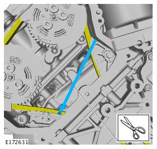 G00559624