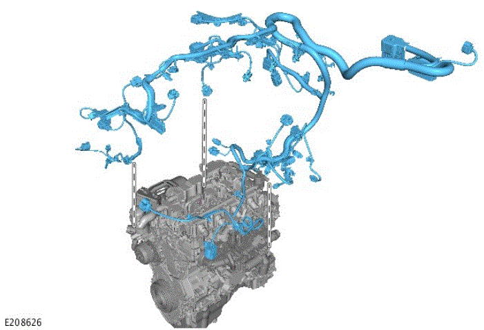 G00565454
