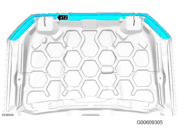 G00609305