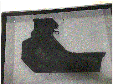 G00645319