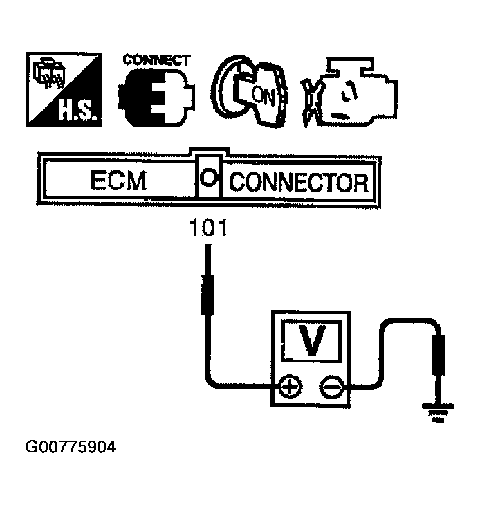 G00775904