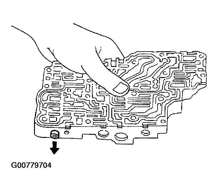 G00779704