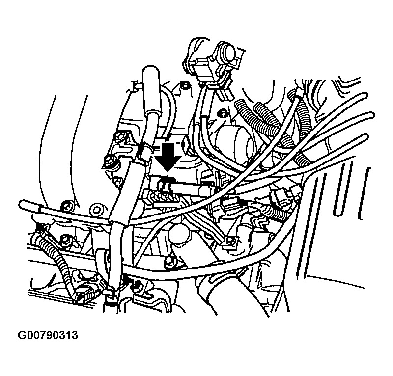 G00790313