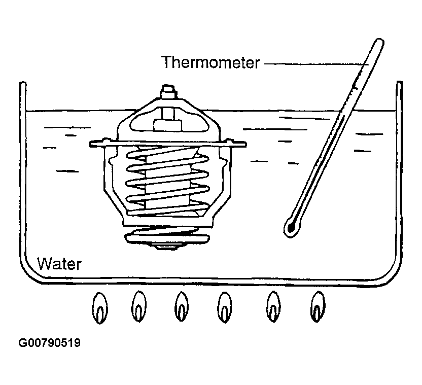 G00790519