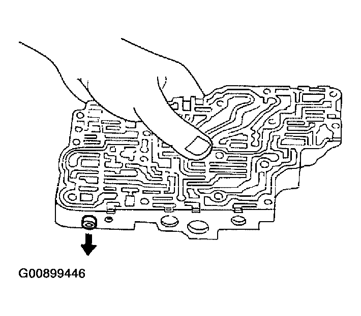 G00899446