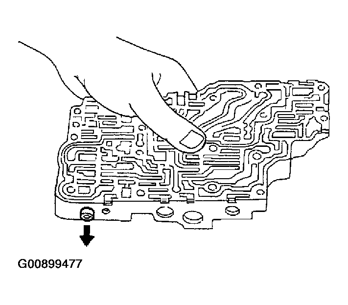 G00899477