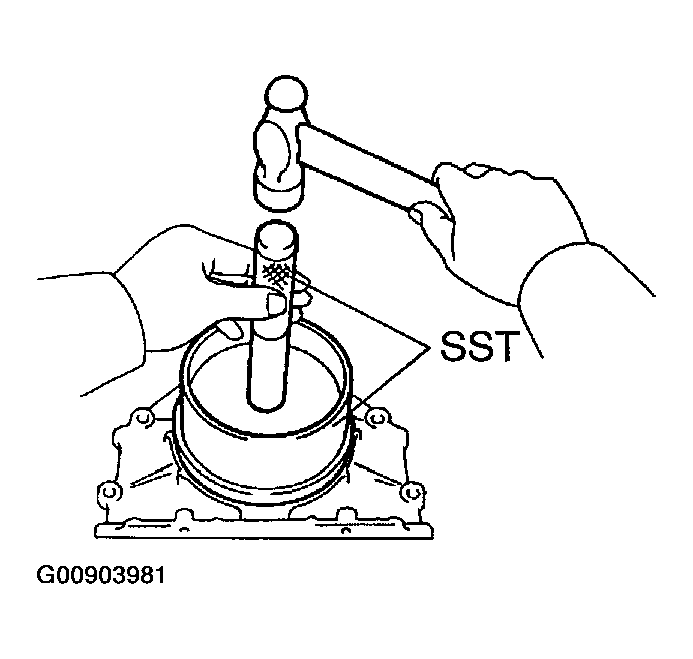 G00903981