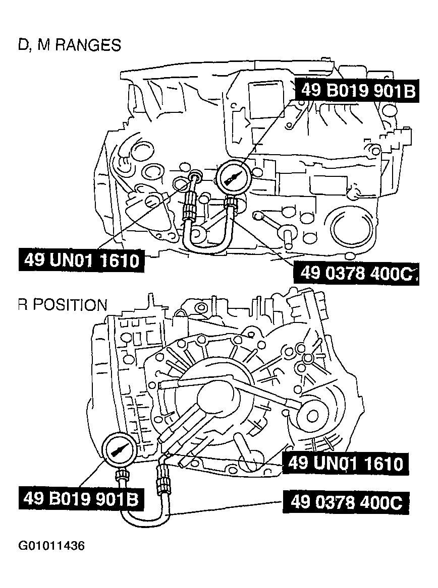 G01011436