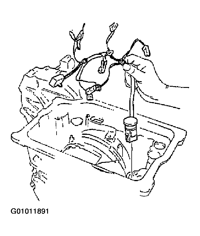 G01011891
