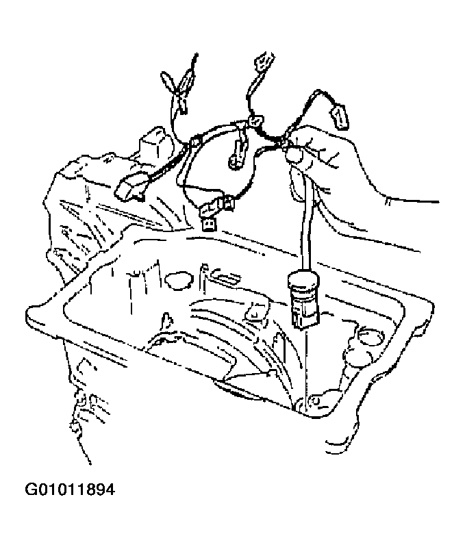 G01011894
