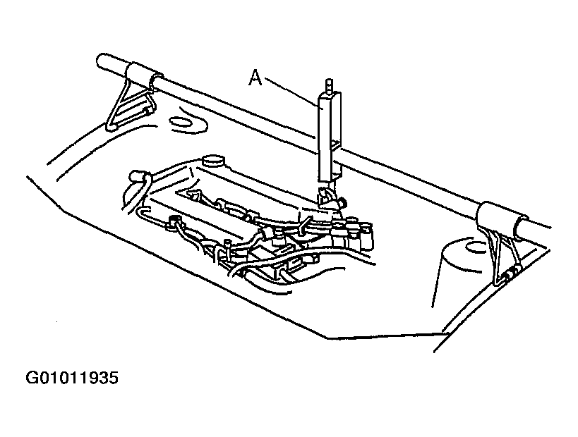 G01011935