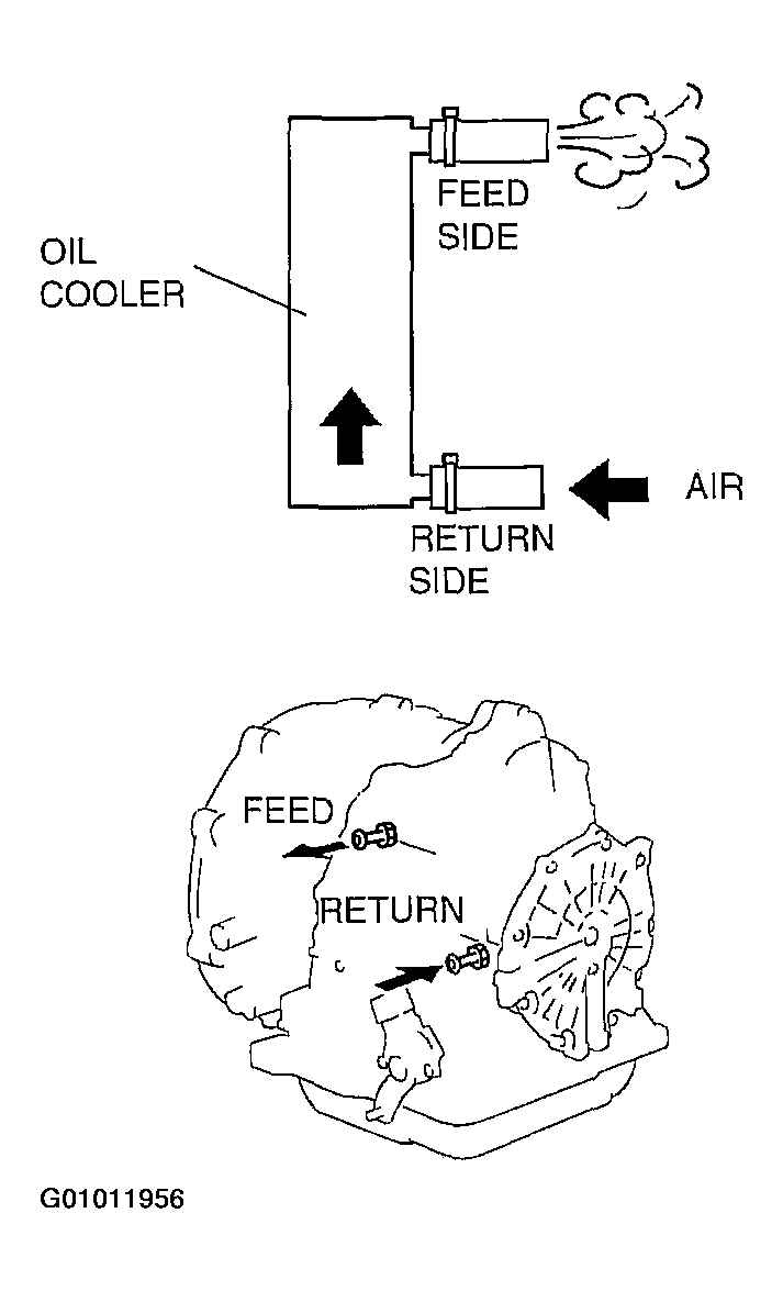 G01011956