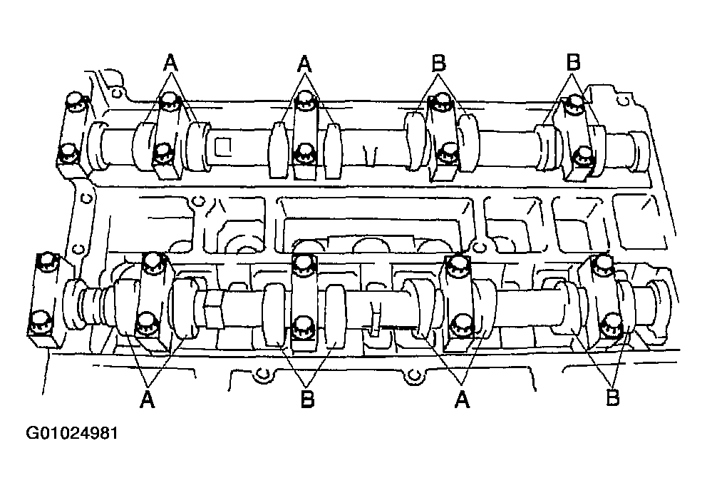 G01024981