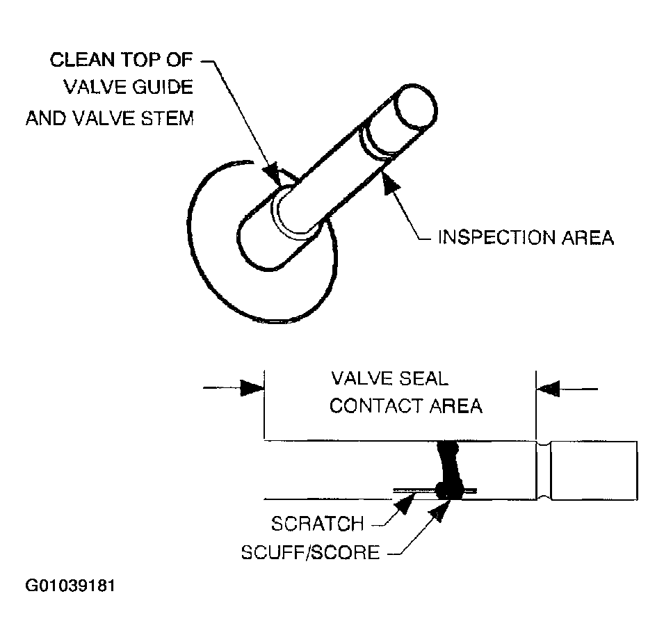 G01039181