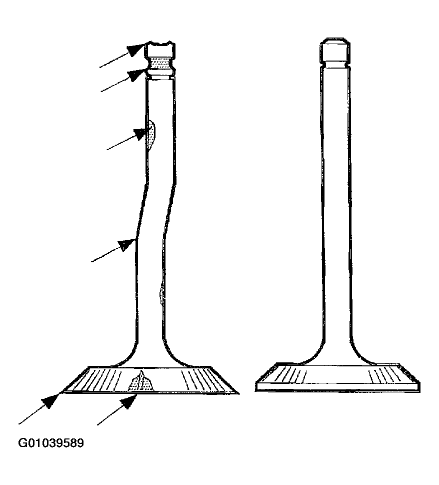 G01039589