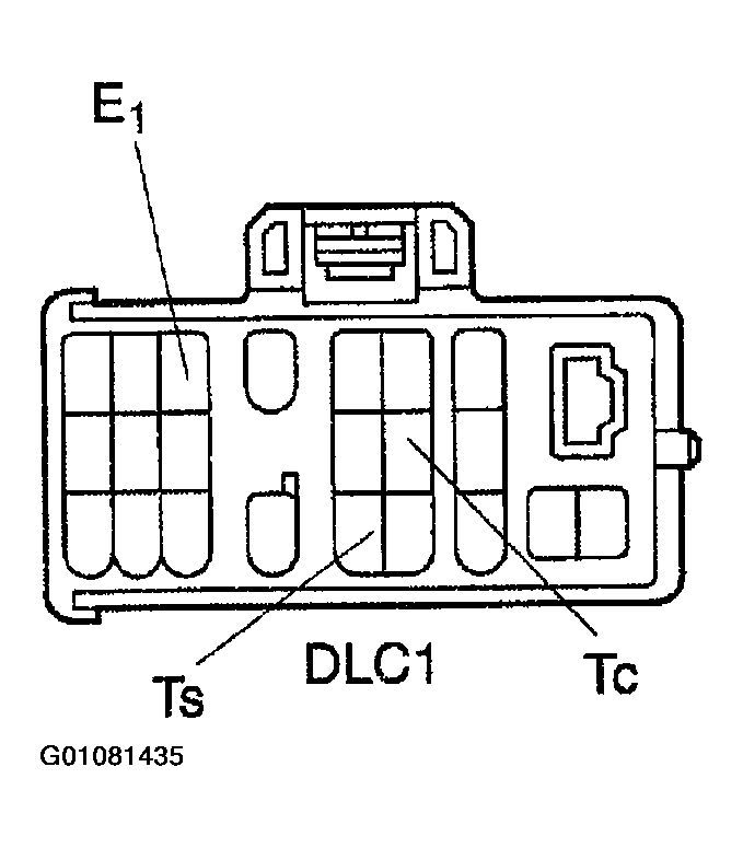 G01081435