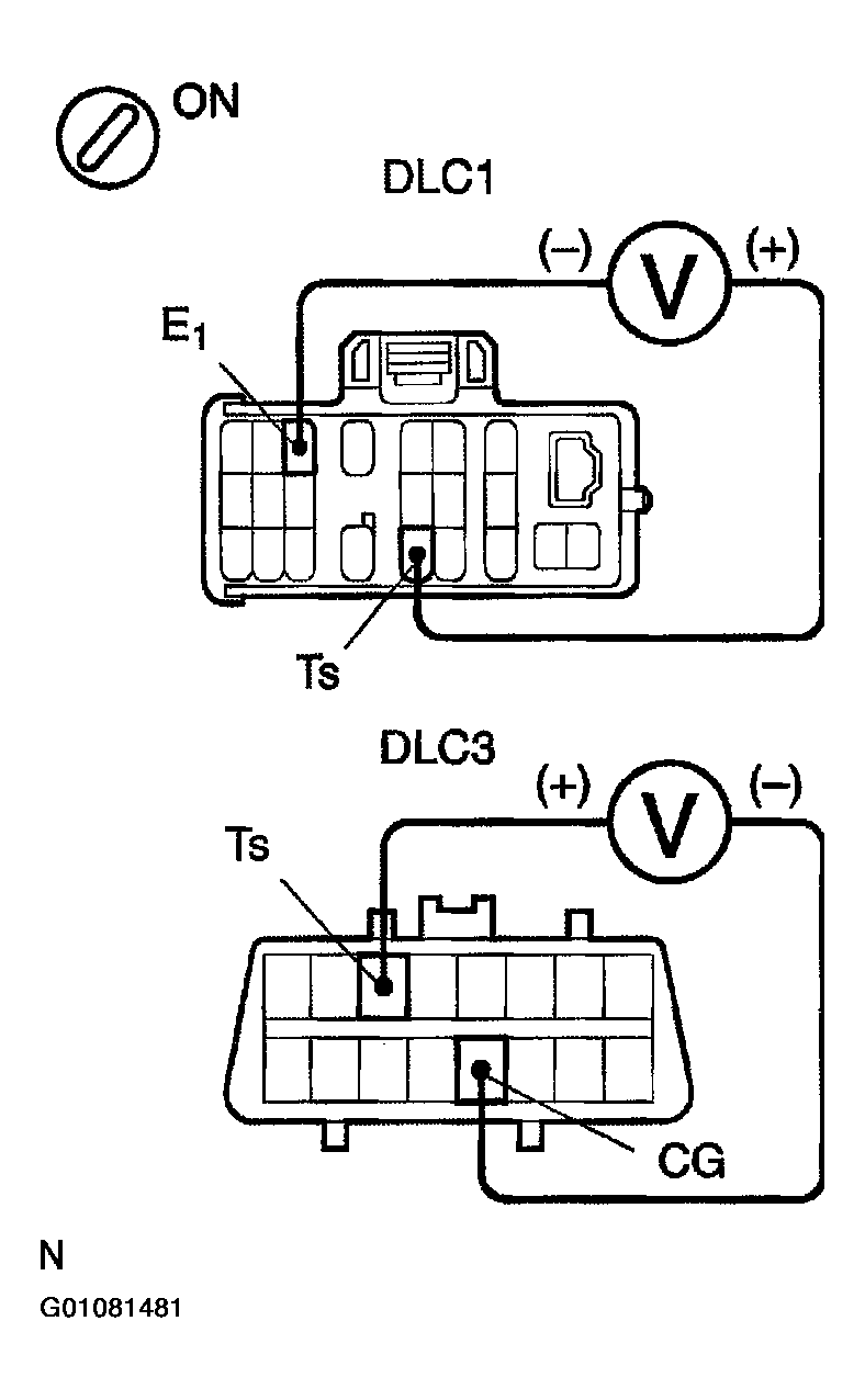 G01081481