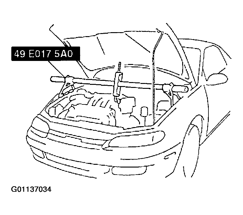G01137034