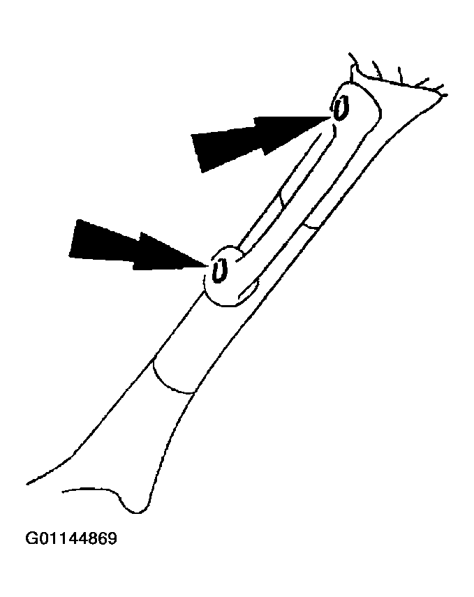 G01144869